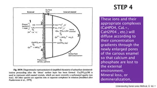 Enamel Rods and its implications | PPT