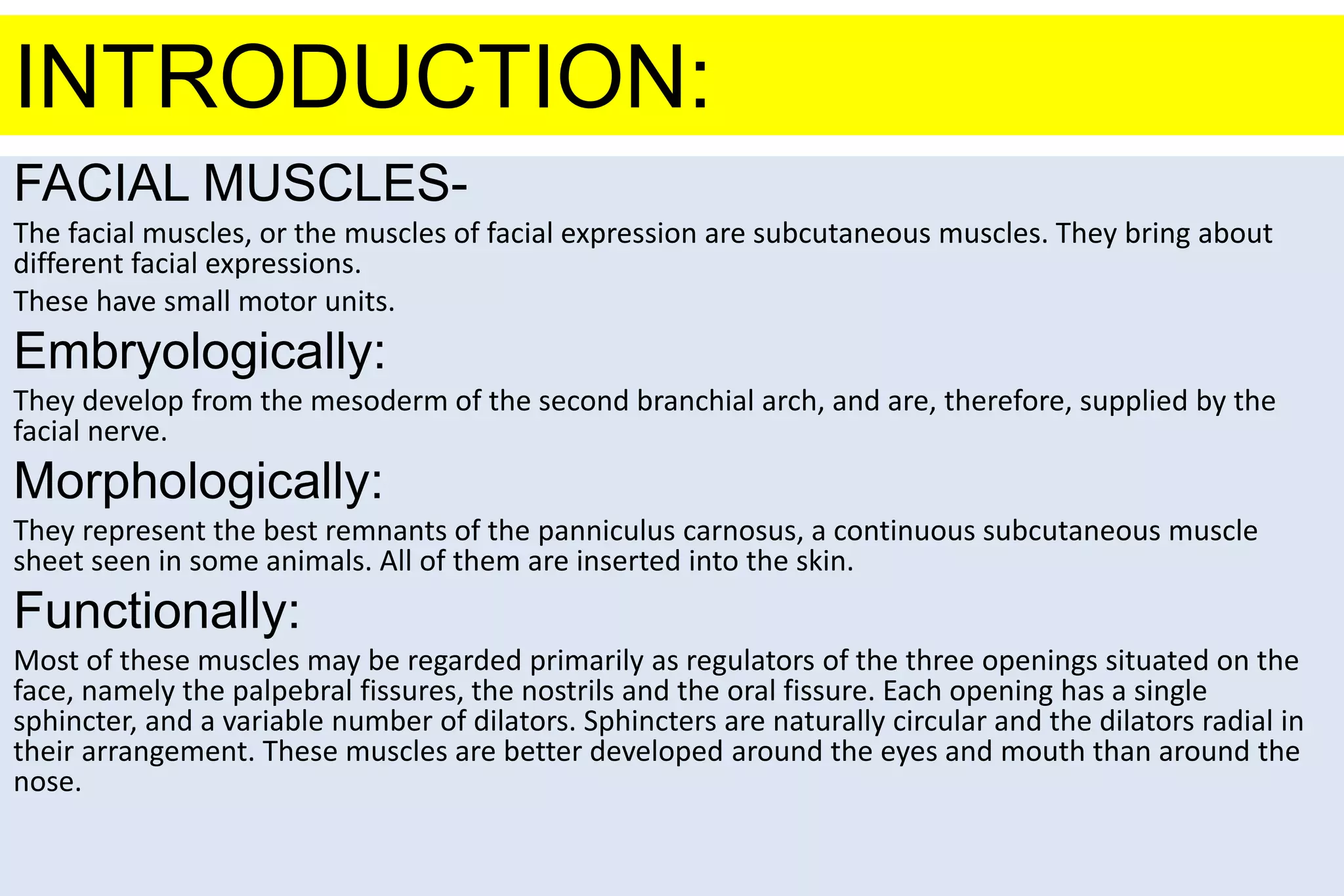 orofacial muscles.pptx