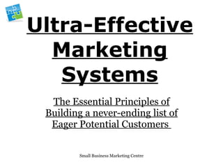 Ultra-Effective Marketing Systems The Essential Principles of Building a never-ending list of Eager Potential Customers   