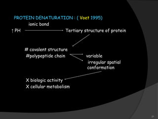 PROTEIN DENATURATION : ( Voet 1995)
ionic bond
↑ PH Tertiary structure of protein
# covalent structure
#polypeptide chain variable
irregular spatial
conformation
X biologic activity
X cellular metabolism
21
 