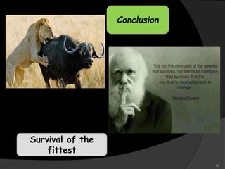 Conclusion
Survival of the
fittest
82
 