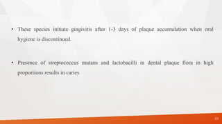 • These species initiate gingivitis after 1-3 days of plaque accumulation when oral
hygiene is discontinued.
• Presence of streptococcus mutans and lactobacilli in dental plaque flora in high
proportions results in caries.
61
 