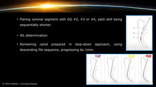 • Flaring coronal segment with GG #2, #3 or #4, each drill being
sequentially shorter.
• WL determination
• Remaining canal prepared in step-down approach, using
descending file sequence, progressing by 1mm.
 