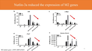 Nutlin-3a reduced the expression of M2 genes
13
M2 marker gene: c-MYC,IRF4,FIZZ1
 