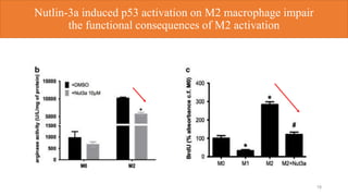 18
Nutlin-3a induced p53 activation on M2 macrophage impair
the functional consequences of M2 activation
 