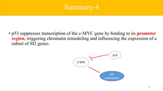 • p53 suppresses transcription of the c-MYC gene by binding to its promoter
region, triggering chromatin remodeling and influencing the expression of a
subset of M2 genes.
Summary 4
29
p53
C-MYC
M2
polarization
 