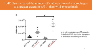 32
IL4C also increased the number of viable peritoneal macrophages
to a greater extent in p53-/- than wild-type animals
as in vitro, endogenous p53 regulates
IL4-elicited M2 functional phenotype
in peritoneal macrophages in vivo.
 