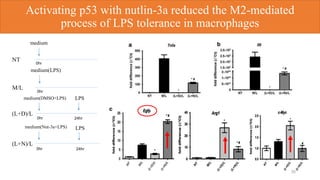 Activating p53 with nutlin-3a reduced the M2-mediated
process of LPS tolerance in macrophages
35
medium
NT
M/L
(L+D)/L
(L+N)/L
medium(LPS)
medium(DMSO+LPS)
medium(Nut-3a+LPS)
LPS
LPS
24hr0hr
0hr
0hr
0hr
24hr
 