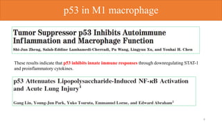 4
p53 in M1 macrophage
These results indicate that p53 inhibits innate immune responses through downregulating STAT-1
and proinflammatory cytokines.
 