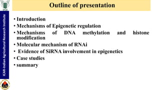 "Non-coding RNA mediated epigenetic regulation of agronomic traits in ...