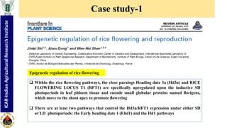 "Non-coding RNA mediated epigenetic regulation of agronomic traits in ...