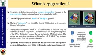 "Non-coding RNA mediated epigenetic regulation of agronomic traits in ...