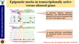"Non-coding RNA mediated epigenetic regulation of agronomic traits in ...