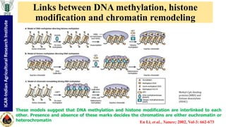 "Non-coding RNA mediated epigenetic regulation of agronomic traits in ...