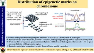 "Non-coding RNA mediated epigenetic regulation of agronomic traits in ...