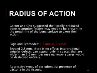 RADIUS OF ACTION
Garant and Cho suggested that locally produced
bone resorption factors may need to be present in
the proximity of the bone surface to exert their
action.
Page and Schroeder: 1.5 mm to 2.5 mm
Beyond 2.5 mm, there is no effect; interproximal
angular defects can appear only in spaces that are
wider than 2.5 mm, because narrower spaces would
be destroyed entirely.
Aggressive types of periodontitis: presence of
bacteria in the tissues. 11
 
