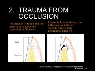 2. TRAUMA FROM
OCCLUSION
The zone of irritation and the
zone of co-destruction
according to Glickman.
In trauma from occlusion, the
inflammatory infiltrate
spreads directly into
periodontal ligament
LINDHE J. CLINICAL PERIODONTOLOGY AND IMPLANT DENTISTRY
4TH EDITION 18
 