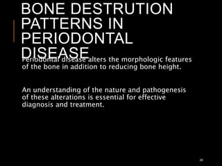 BONE DESTRUTION
PATTERNS IN
PERIODONTAL
DISEASEPeriodontal disease alters the morphologic features
of the bone in addition to reducing bone height.
An understanding of the nature and pathogenesis
of these alterations is essential for effective
diagnosis and treatment.
26
 