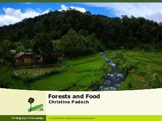Forests and Food
Christine Padoch
 