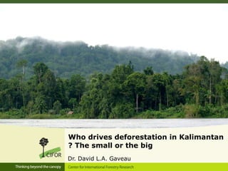 Who drives deforestation in Kalimantan
? The small or the big
Dr. David L.A. Gaveau
 