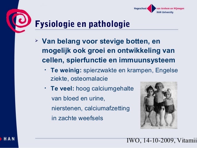 vitamine voor de lever