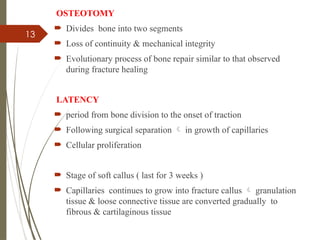 13
OSTEOTOMY
 Divides bone into two segments
 Loss of continuity & mechanical integrity
 Evolutionary process of bone repair similar to that observed
during fracture healing
LATENCY
 period from bone division to the onset of traction
 Following surgical separation  in growth of capillaries
 Cellular proliferation
 Stage of soft callus ( last for 3 weeks )
 Capillaries continues to grow into fracture callus  granulation
tissue & loose connective tissue are converted gradually to
fibrous & cartilaginous tissue
 