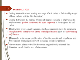 14
3. DISTRACTION
 During normal fracture healing the stage of soft callus is followed by stage
of hard callus ( last for 3 to 4 months )
 During distraction the normal process of fracture healing is interrupted by
application of gradual traction to the bone segments at the stage of the soft
callus
 This traction progressively separates the bone segments there by generating
tensional stress in the tissues of the forming soft callus & in the surrounding
soft tissues
 This results in increased proliferation of the fibroblastic cell population and
prolongation of angiogenesis with increased tissue oxygenation
 Fibrous tissue of the soft callus becomes longitudinally oriented in a
direction parallel to the axis of distraction
 