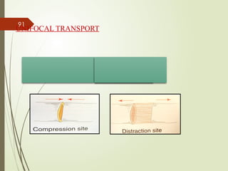 91
UNIFOCAL TRANSPORT
 