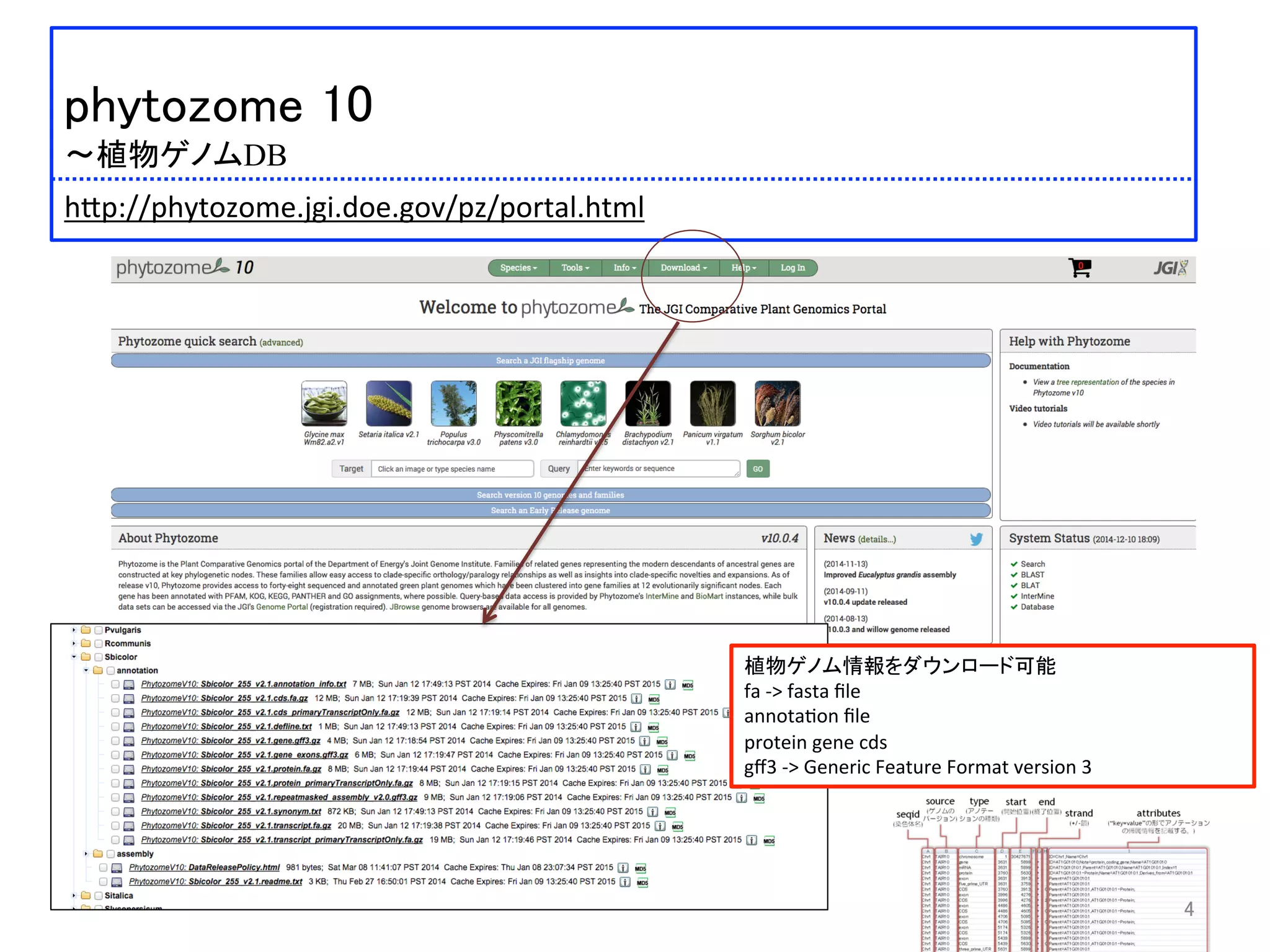  	
 
phytozome 10	
 
〜植物ゲノムDB	
 
h:p://phytozome.jgi.doe.gov/pz/portal.html	
 
植物ゲノム情報をダウンロード可能	
  
fa	
  -­‐>	
  fasta	
  ﬁle	
  
annota)on	
  ﬁle	
  
protein	
  gene	
  cds	
  	
  
gﬀ3	
  -­‐>	
  Generic	
  Feature	
  Format	
  version	
  3	
  	
  	
4	
 