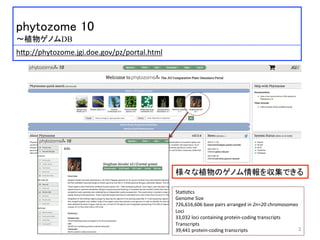  	
 
phytozome 10	
 
〜植物ゲノムDB	
 
h:p://phytozome.jgi.doe.gov/pz/portal.html	
 
Sta)s)cs	
  
Genome	
  Size	
  
726,616,606	
  base	
  pairs	
  arranged	
  in	
  2n=20	
  chromosomes	
  
Loci	
  
33,032	
  loci	
  containing	
  protein-­‐coding	
  transcripts	
  
Transcripts	
  
39,441	
  protein-­‐coding	
  transcripts	
 3	
様々な植物のゲノム情報を収集できる	
 