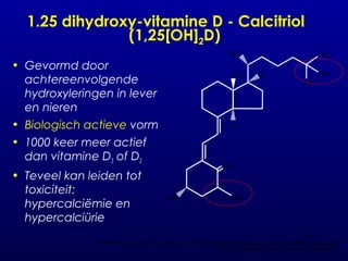 Seminar 15-01-2009 - calcium en vitamine d