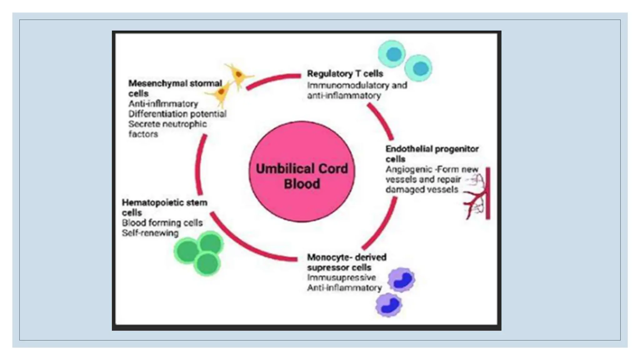 Tissue Banking and Umbilical Cord Blood Banking | PPTX