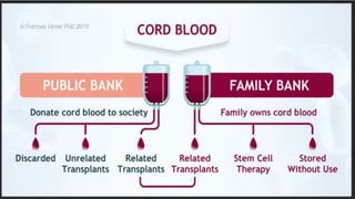 Tissue Banking and Umbilical Cord Blood Banking | PPTX