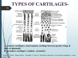 15
A- primary cartilages ( nasal septum, cartilage between greater wings &
body of sphenoid)
B- secondary cartilages ( condyle , coronoid )
 