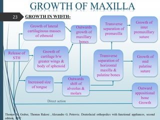 23
GROWTH OF MAXILLA
GROWTH IN WIDTH-
Release of
STH
Growth of lateral
cartilaginous masses
of ethmoid
Increased size
of tongue
Outwards
growth of
maxillary
bones
Growth of
cartilage b/w
greater wings &
body of sphenoid
Transverse
separation of
horizontal
maxilla &
palatine bones
Outwards
shift of
alveolus &
molars
Transverse
separation of
premaxilla
Growth of
inter
premaxillary
suture
Growth of
mid
palatine
suture
Outward
appositional
bone
Growth
 