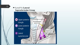 Layered Neck Level Seminar 1 Delineation of the neck node levels for head.pptx
