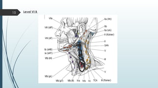 Level Vb Node Seminar 1 Delineation of the neck node levels for head.pptx