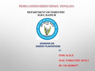 INDIRAGANDHI KRISHI VISHWA VIDYALAYA
DEPARTMENT OF FORESTRY
IGKV, RAIPUR
SEMINAR ON
ENERGY PLANTATIONS
BY:
INDU KALE
M.SC FORESTRY SEM-2
ID. NO 20200477
 