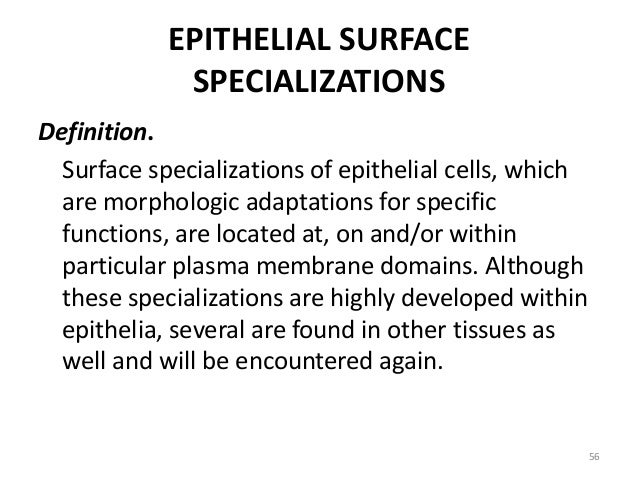 cell specialization definition