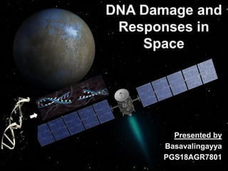 DNA Damage and
Responses in
Space
Presented by
Basavalingayya
PGS18AGR7801
 