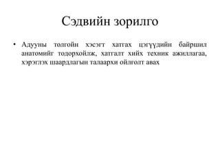 Сэдвийн зорилго
• Адууны толгойн хэсэгт хатгах цэгүүдийн байршил
анатомийг тодорхойлж, хатгалт хийх техник ажиллагаа,
хэрэглэх шаардлагын талаархи ойлголт авах
 