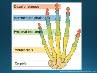 Phulari BS, Orthodontics Principles and Practice, Edition 1;205-15
 