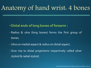 Anatomy of hand wrist: 4 bones
•Distal ends of long bones of forearm :
- Radius & ulna (long bones) forms the first group of
bones.
- Ulna on medial aspect & radius on distal aspect.
- Give rise to distal projections respectively called ulnar
styloid & radial styloid.
Phulari BS, Orthodontics Principles and Practice, Edition 1;205-15
 