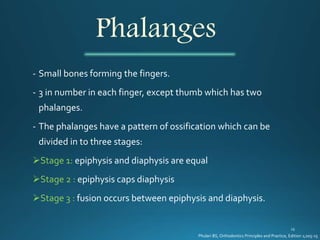 Phalanges
- Small bones forming the fingers.
- 3 in number in each finger, except thumb which has two
phalanges.
- The phalanges have a pattern of ossification which can be
divided in to three stages:
Stage 1: epiphysis and diaphysis are equal
Stage 2 : epiphysis caps diaphysis
Stage 3 : fusion occurs between epiphysis and diaphysis.
Phulari BS, Orthodontics Principles and Practice, Edition 1;205-15
 