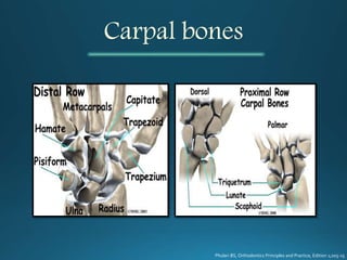 Carpal bones
Phulari BS, Orthodontics Principles and Practice, Edition 1;205-15
 