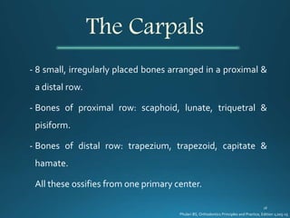 The Carpals
- 8 small, irregularly placed bones arranged in a proximal &
a distal row.
- Bones of proximal row: scaphoid, lunate, triquetral &
pisiform.
- Bones of distal row: trapezium, trapezoid, capitate &
hamate.
All these ossifies from one primary center.
Phulari BS, Orthodontics Principles and Practice, Edition 1;205-15
 