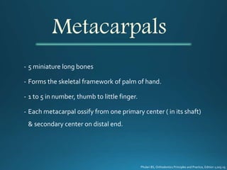 - 5 miniature long bones
- Forms the skeletal framework of palm of hand.
- 1 to 5 in number, thumb to little finger.
- Each metacarpal ossify from one primary center ( in its shaft)
& secondary center on distal end.
Metacarpals
Phulari BS, Orthodontics Principles and Practice, Edition 1;205-15
 