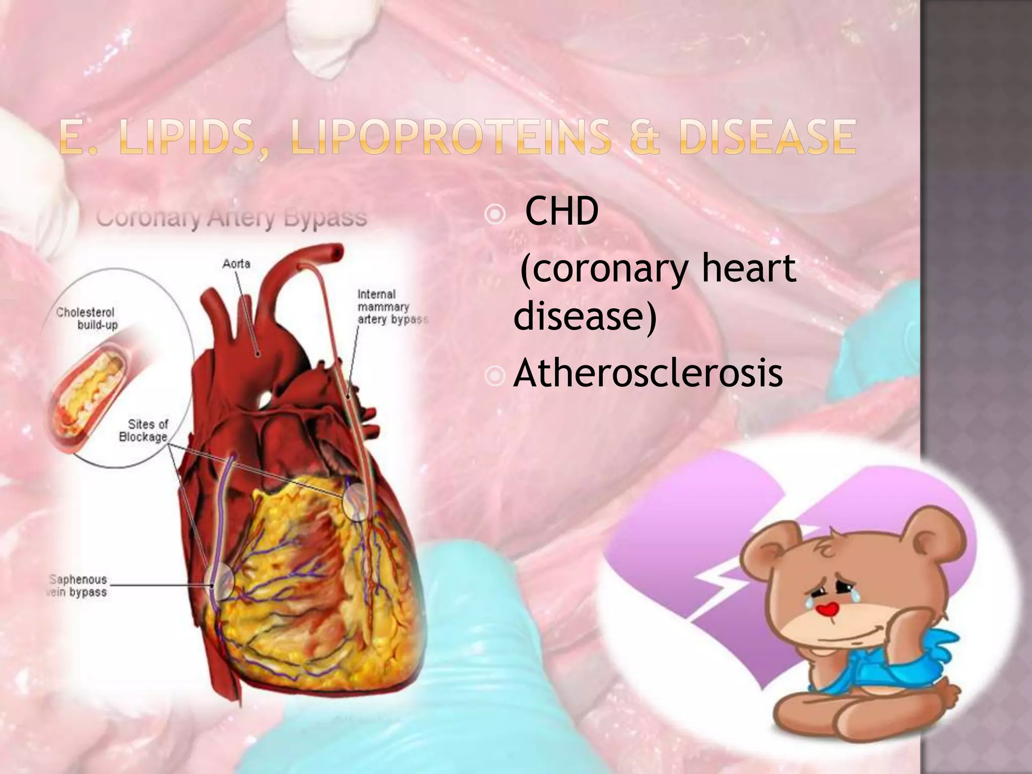  CHD
(coronary heart
disease)
 Atherosclerosis
 