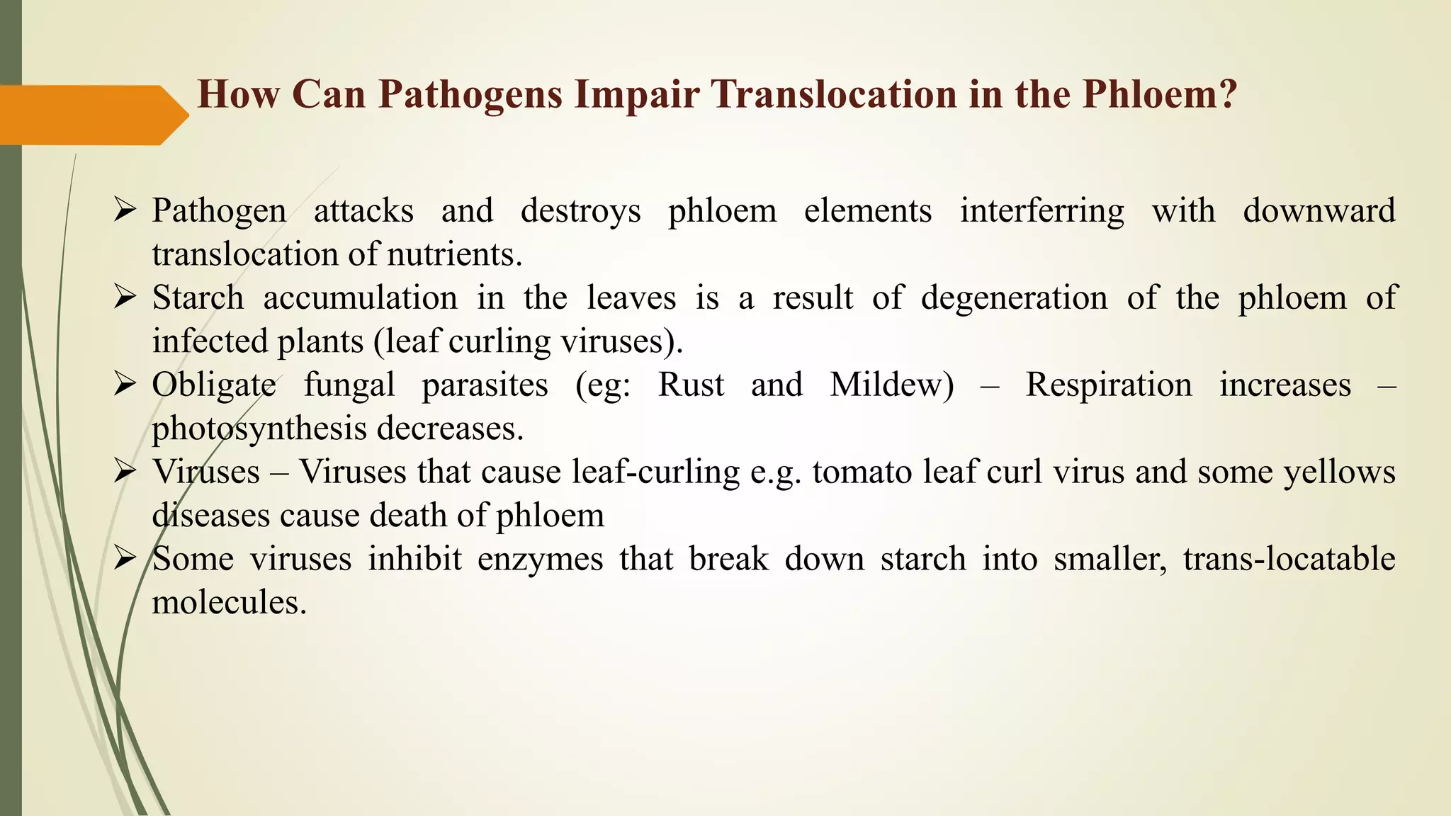  Pathogen attacks and destroys phloem elements interferring with downward
translocation of nutrients.
 Starch accumulation in the leaves is a result of degeneration of the phloem of
infected plants (leaf curling viruses).
 Obligate fungal parasites (eg: Rust and Mildew) – Respiration increases –
photosynthesis decreases.
 Viruses – Viruses that cause leaf-curling e.g. tomato leaf curl virus and some yellows
diseases cause death of phloem
 Some viruses inhibit enzymes that break down starch into smaller, trans-locatable
molecules.
How Can Pathogens Impair Translocation in the Phloem?
 