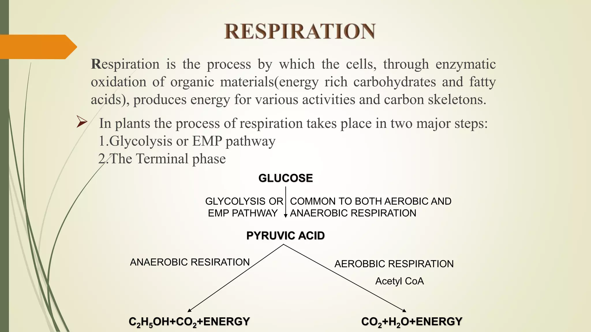 Respiration is the process by which the cells, through enzymatic
oxidation of organic materials(energy rich carbohydrates and fatty
acids), produces energy for various activities and carbon skeletons.
 In plants the process of respiration takes place in two major steps:
1.Glycolysis or EMP pathway
2.The Terminal phase
GLUCOSE
PYRUVIC ACID
C2H5OH+CO2+ENERGY CO2+H2O+ENERGY
COMMON TO BOTH AEROBIC AND
ANAEROBIC RESPIRATION
GLYCOLYSIS OR
EMP PATHWAY
ANAEROBIC RESIRATION AEROBBIC RESPIRATION
Acetyl CoA
 